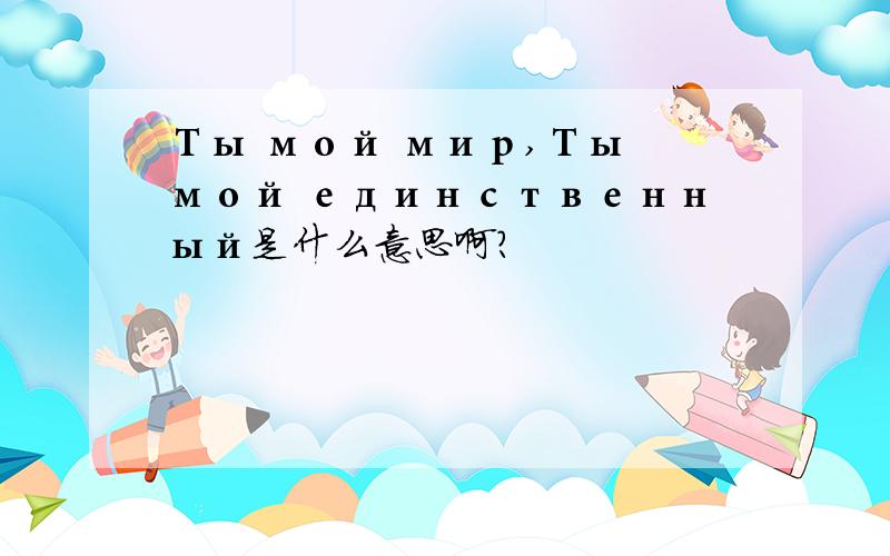 Ты мой мир,Ты мой единственный是什么意思啊?