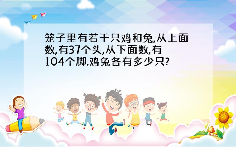 笼子里有若干只鸡和兔,从上面数,有37个头,从下面数,有104个脚.鸡兔各有多少只?