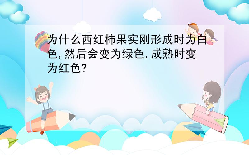 为什么西红柿果实刚形成时为白色,然后会变为绿色,成熟时变为红色?