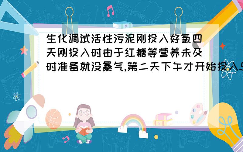 生化调试活性污泥刚投入好氧四天刚投入时由于红糖等营养未及时准备就没暴气,第二天下午才开始投入50公斤红糖和十公斤左右的复