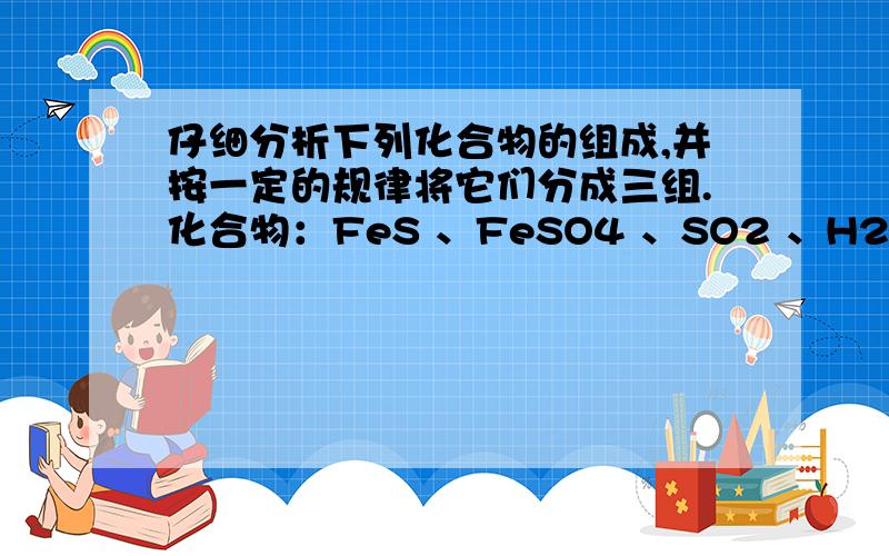 仔细分析下列化合物的组成,并按一定的规律将它们分成三组.化合物：FeS 、FeSO4 、SO2 、H2S 、H2SO3