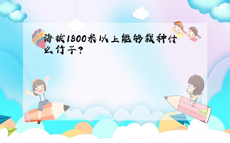 海拔1800米以上能够栽种什么竹子?