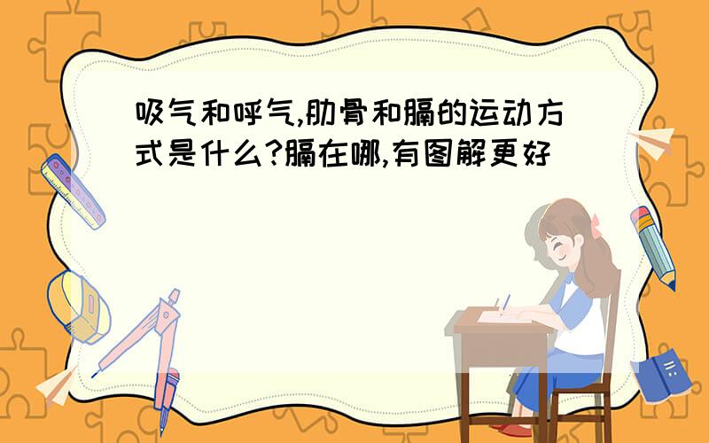 吸气和呼气,肋骨和膈的运动方式是什么?膈在哪,有图解更好