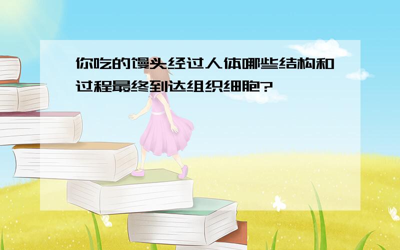 你吃的馒头经过人体哪些结构和过程最终到达组织细胞?