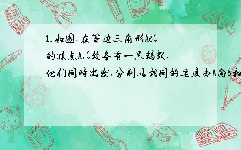 1.如图,在等边三角形ABC的顶点A,C处各有一只蚂蚁,他们同时出发,分别以相同的速度由A向B和由C向A爬行,经过T秒后