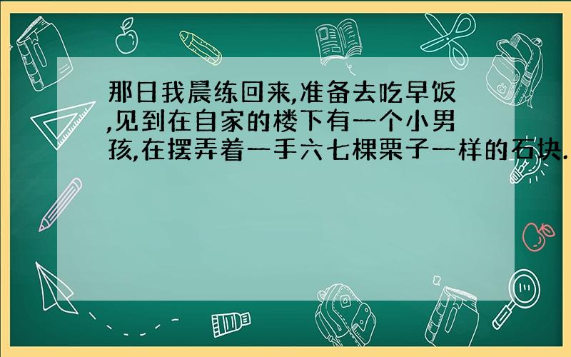 那日我晨练回来,准备去吃早饭,见到在自家的楼下有一个小男孩,在摆弄着一手六七棵栗子一样的石块.口袋里也鼓鼓囊囊的,想必也