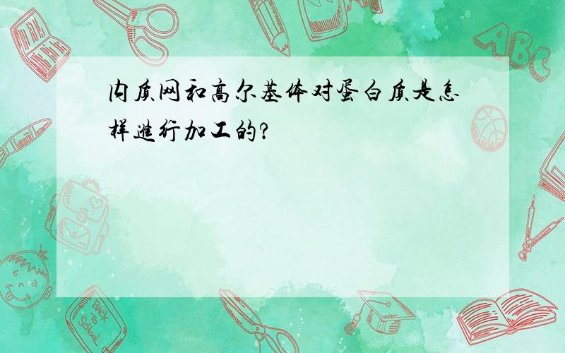 内质网和高尔基体对蛋白质是怎样进行加工的?