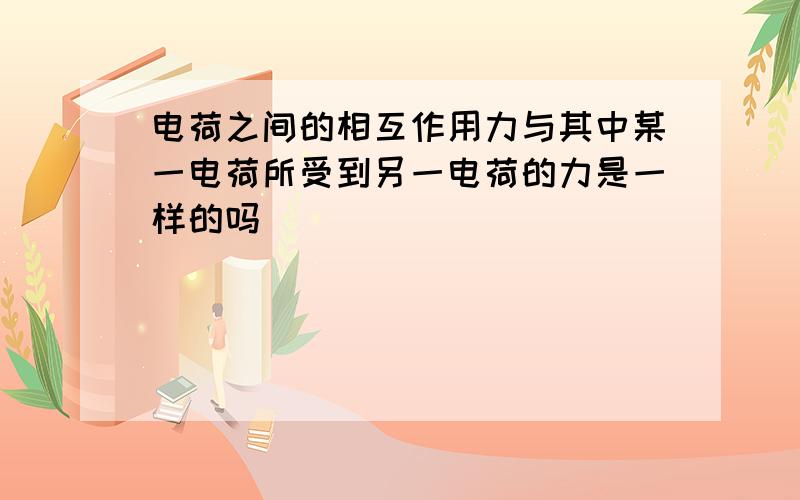 电荷之间的相互作用力与其中某一电荷所受到另一电荷的力是一样的吗