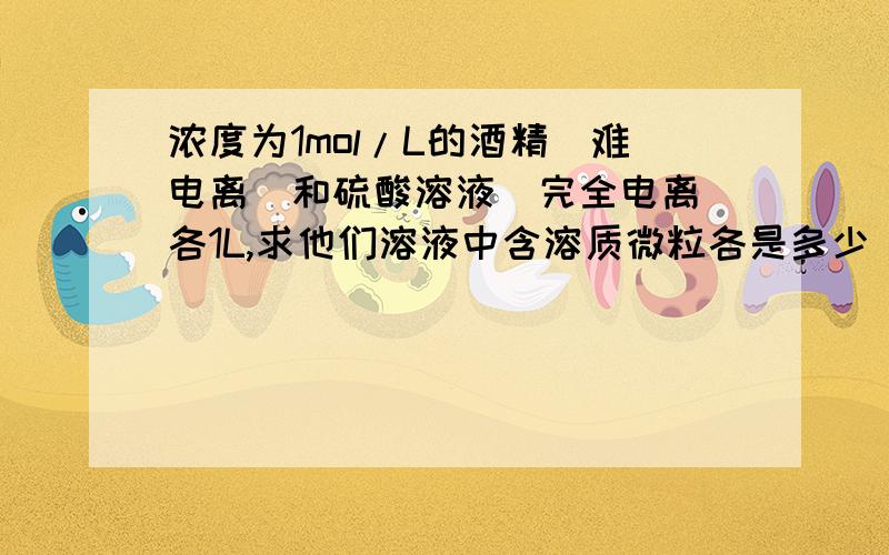 浓度为1mol/L的酒精（难电离）和硫酸溶液（完全电离）各1L,求他们溶液中含溶质微粒各是多少