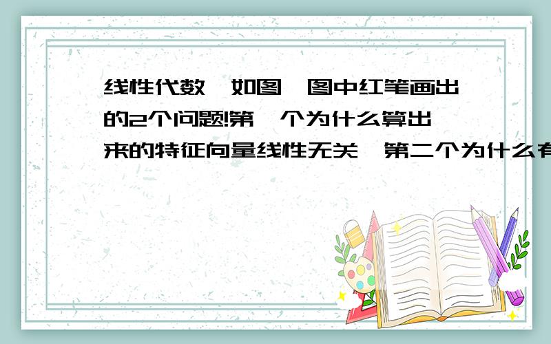 线性代数,如图,图中红笔画出的2个问题!第一个为什么算出来的特征向量线性无关,第二个为什么有2个解就是秩为1?