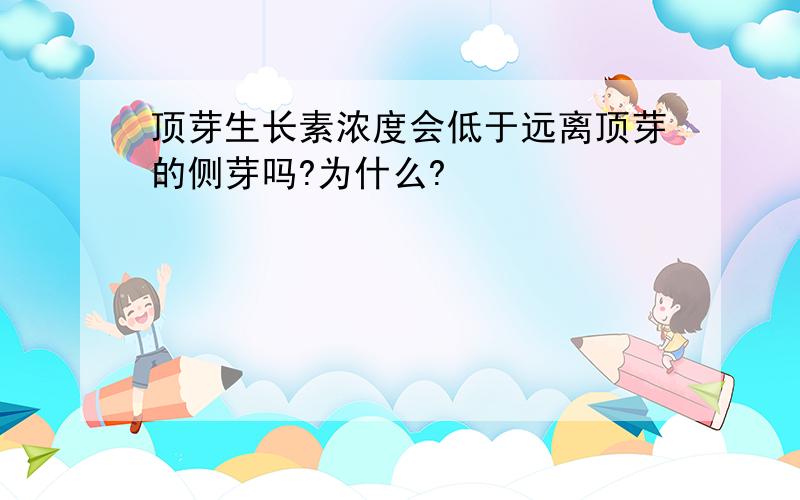 顶芽生长素浓度会低于远离顶芽的侧芽吗?为什么?