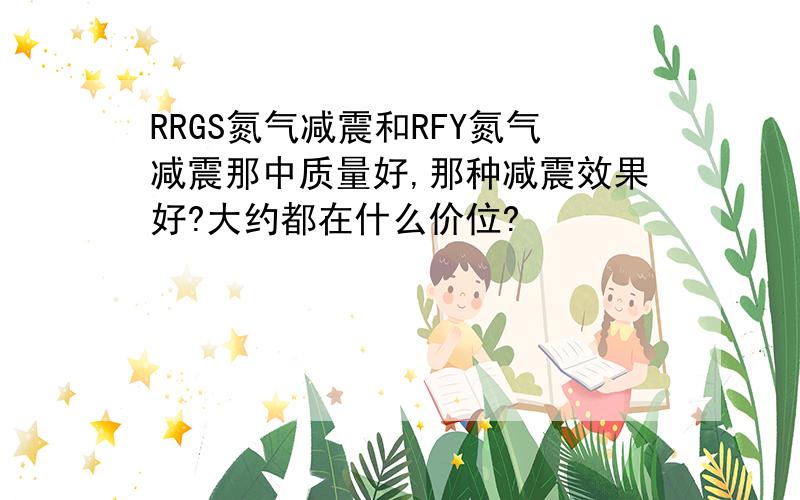 RRGS氮气减震和RFY氮气减震那中质量好,那种减震效果好?大约都在什么价位?