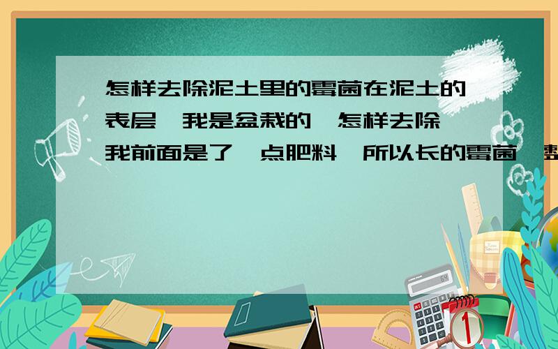 怎样去除泥土里的霉菌在泥土的表层,我是盆栽的,怎样去除,我前面是了一点肥料,所以长的霉菌,整个盆栽都是,怎样去除啊!h好