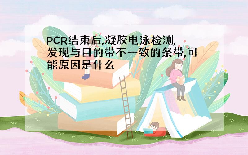 PCR结束后,凝胶电泳检测,发现与目的带不一致的条带,可能原因是什么