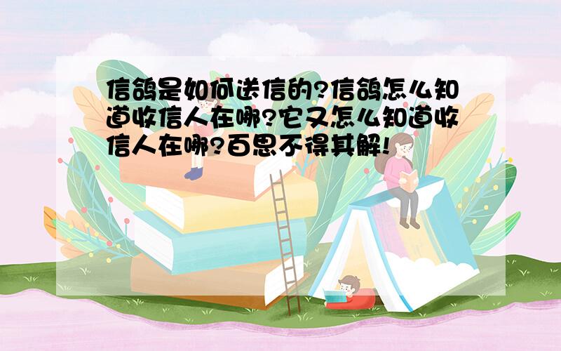 信鸽是如何送信的?信鸽怎么知道收信人在哪?它又怎么知道收信人在哪?百思不得其解!