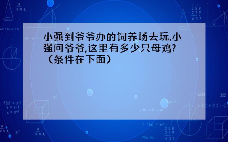 小强到爷爷办的饲养场去玩.小强问爷爷,这里有多少只母鸡?（条件在下面）