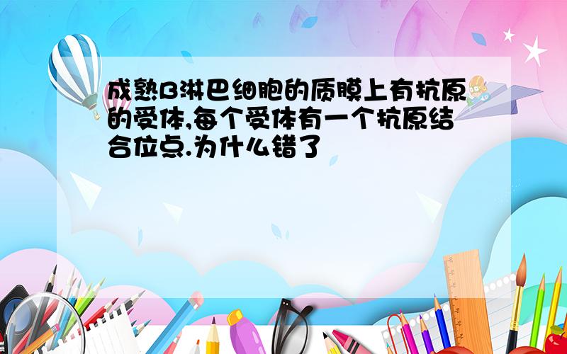 成熟B淋巴细胞的质膜上有抗原的受体,每个受体有一个抗原结合位点.为什么错了