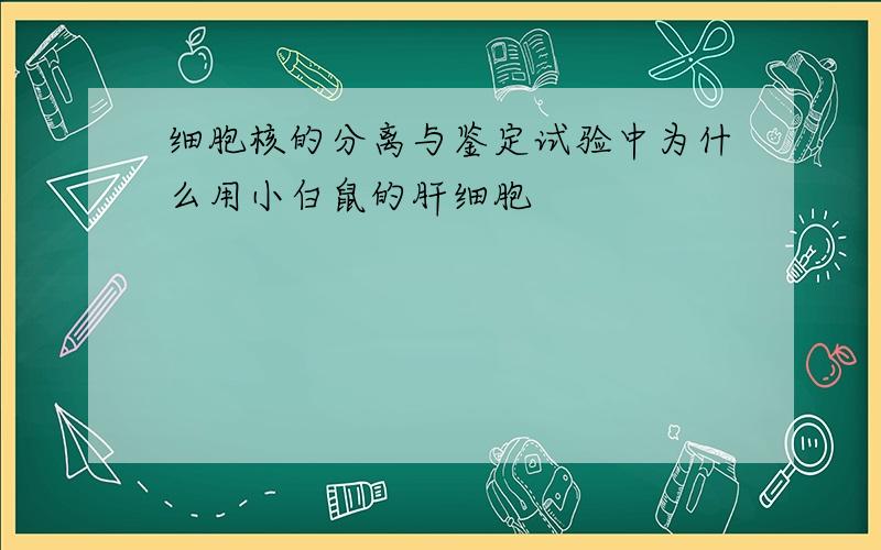 细胞核的分离与鉴定试验中为什么用小白鼠的肝细胞