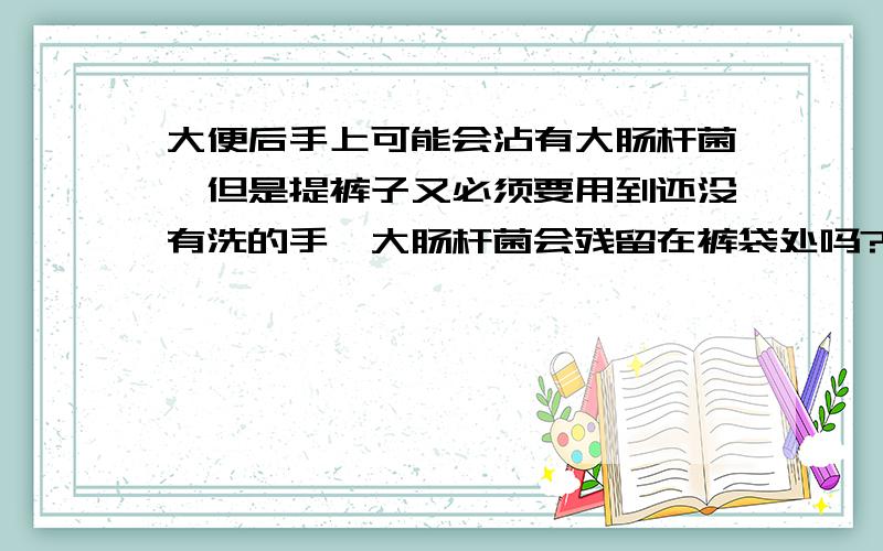 大便后手上可能会沾有大肠杆菌,但是提裤子又必须要用到还没有洗的手,大肠杆菌会残留在裤袋处吗?