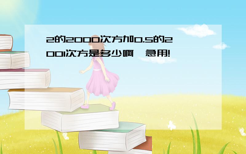 2的2000次方加0.5的2001次方是多少啊,急用!