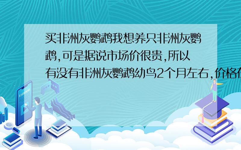 买非洲灰鹦鹉我想养只非洲灰鹦鹉,可是据说市场价很贵,所以有没有非洲灰鹦鹉幼鸟2个月左右,价格在100—200左右的,最好