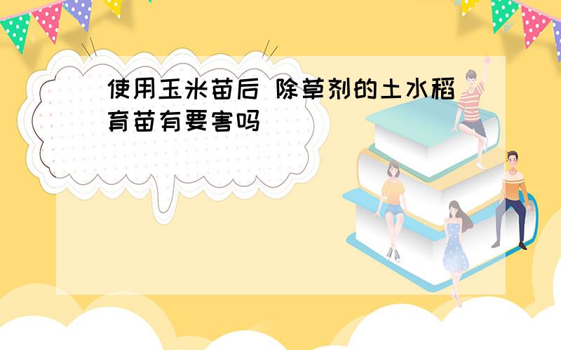 使用玉米苗后 除草剂的土水稻育苗有要害吗