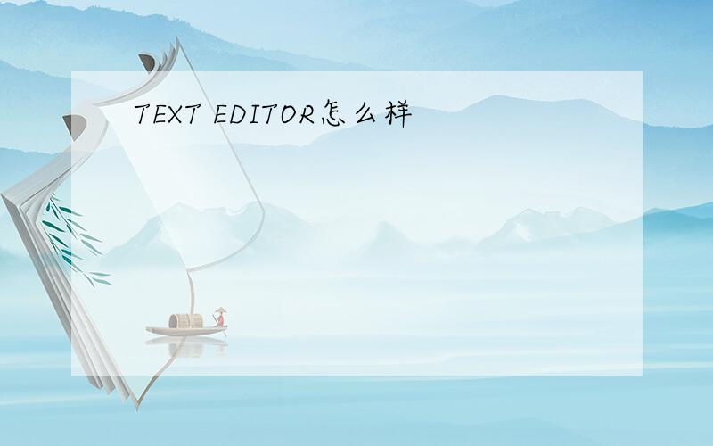 TEXT EDITOR怎么样