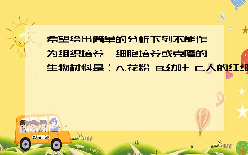 希望给出简单的分析下列不能作为组织培养,细胞培养或克隆的生物材料是：A.花粉 B.幼叶 C.人的红细胞 D.卵细胞