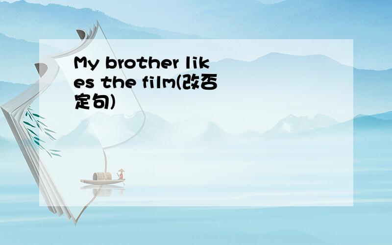 My brother likes the film(改否定句)