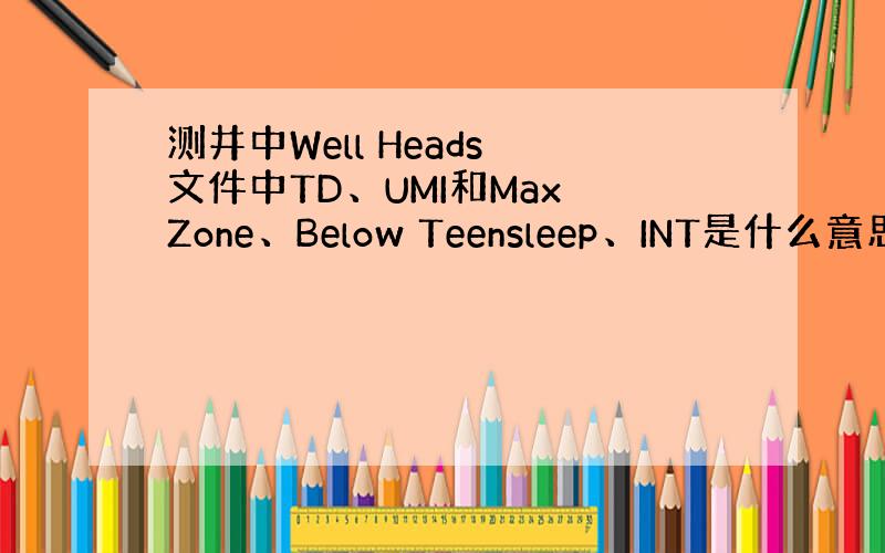 测井中Well Heads 文件中TD、UMI和Max Zone、Below Teensleep、INT是什么意思