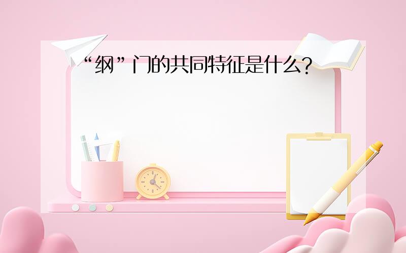 “纲”门的共同特征是什么?