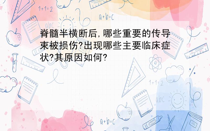 脊髓半横断后,哪些重要的传导束被损伤?出现哪些主要临床症状?其原因如何?