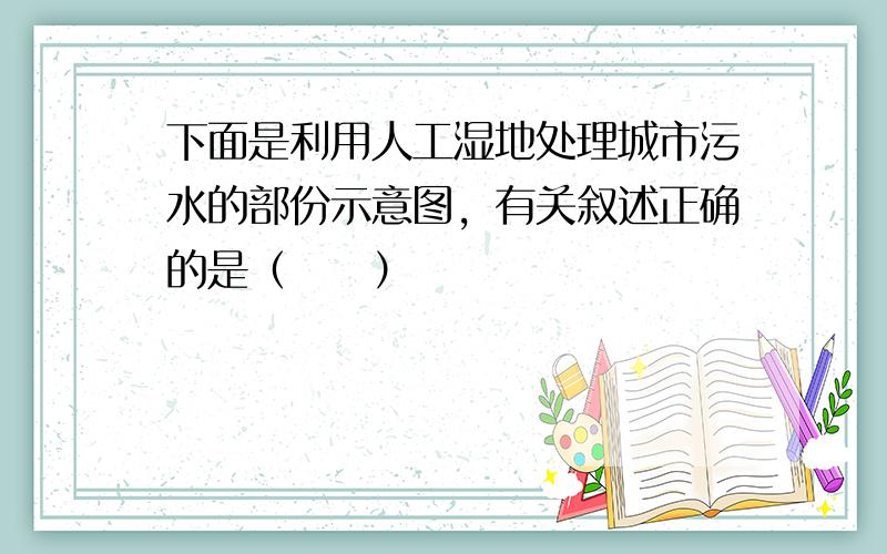 下面是利用人工湿地处理城市污水的部份示意图，有关叙述正确的是（　　）