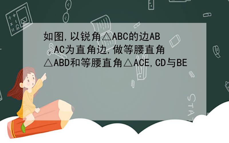 如图,以锐角△ABC的边AB ,AC为直角边,做等腰直角△ABD和等腰直角△ACE,CD与BE