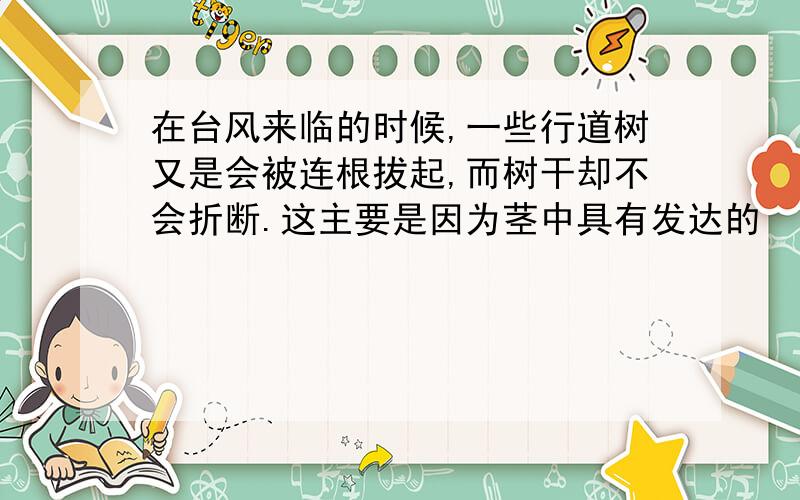 在台风来临的时候,一些行道树又是会被连根拔起,而树干却不会折断.这主要是因为茎中具有发达的