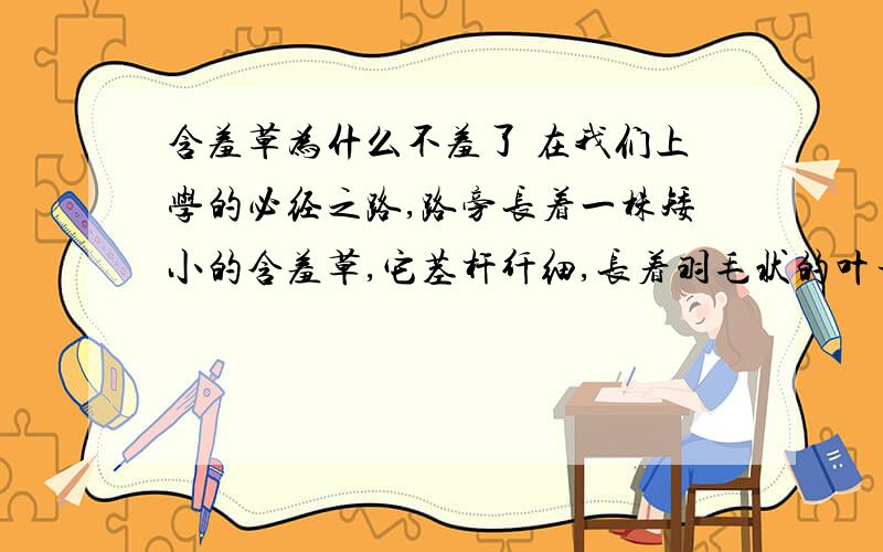 含羞草为什么不羞了 在我们上学的必经之路,路旁长着一株矮小的含羞草,它茎杆纤细,长着羽毛状的叶子.只要一碰它,它就会整张