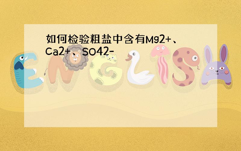 如何检验粗盐中含有Mg2+、Ca2+、SO42-