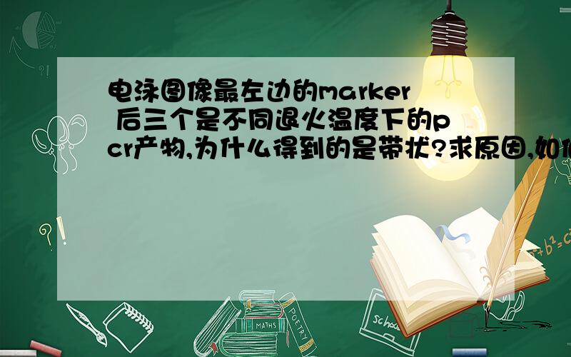 电泳图像最左边的marker 后三个是不同退火温度下的pcr产物,为什么得到的是带状?求原因,如何改进?