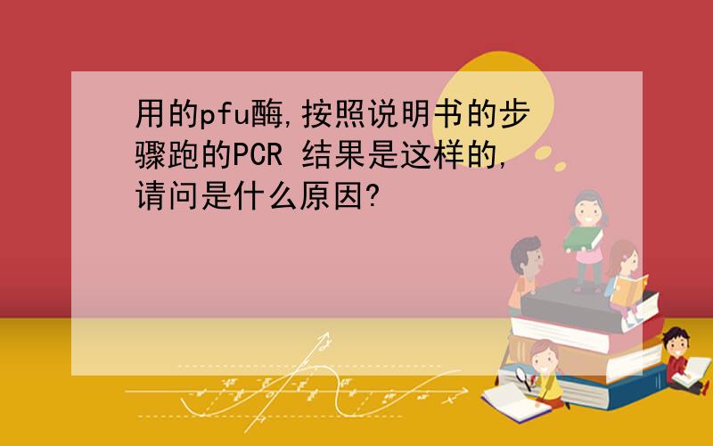 用的pfu酶,按照说明书的步骤跑的PCR 结果是这样的,请问是什么原因?