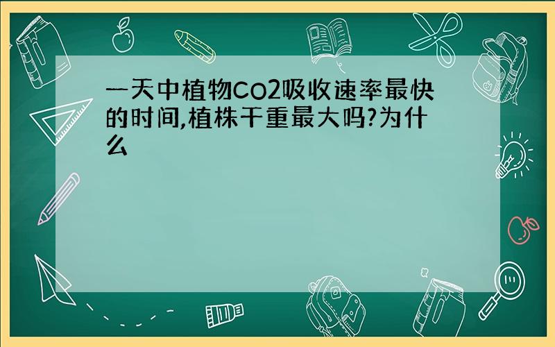 一天中植物CO2吸收速率最快的时间,植株干重最大吗?为什么