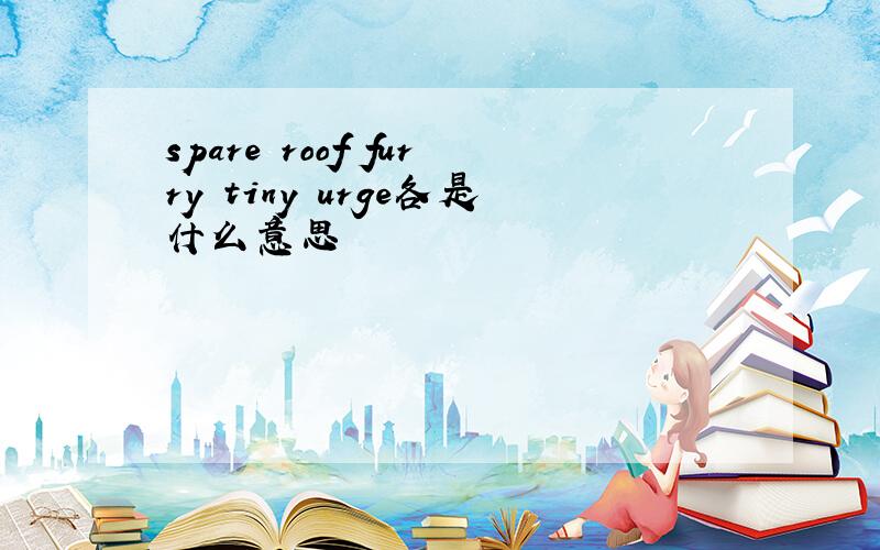 spare roof furry tiny urge各是什么意思