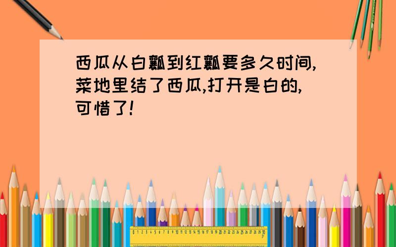 西瓜从白瓤到红瓤要多久时间,菜地里结了西瓜,打开是白的,可惜了!