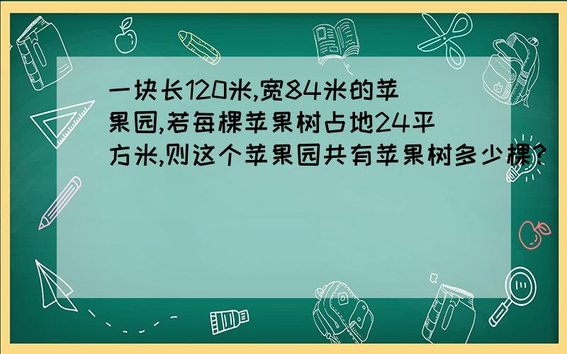 一块长120米,宽84米的苹果园,若每棵苹果树占地24平方米,则这个苹果园共有苹果树多少棵?