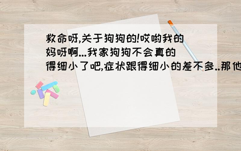 救命呀,关于狗狗的!哎哟我的妈呀啊...我家狗狗不会真的得细小了吧,症状跟得细小的差不多..那他不就是活不成了?我家附近