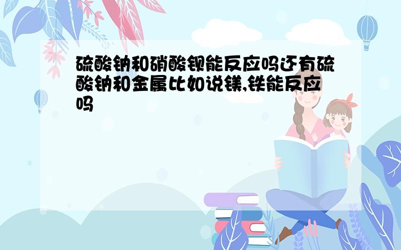 硫酸钠和硝酸钡能反应吗还有硫酸钠和金属比如说镁,铁能反应吗