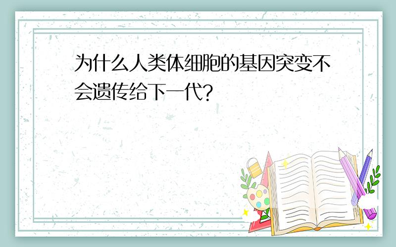 为什么人类体细胞的基因突变不会遗传给下一代?