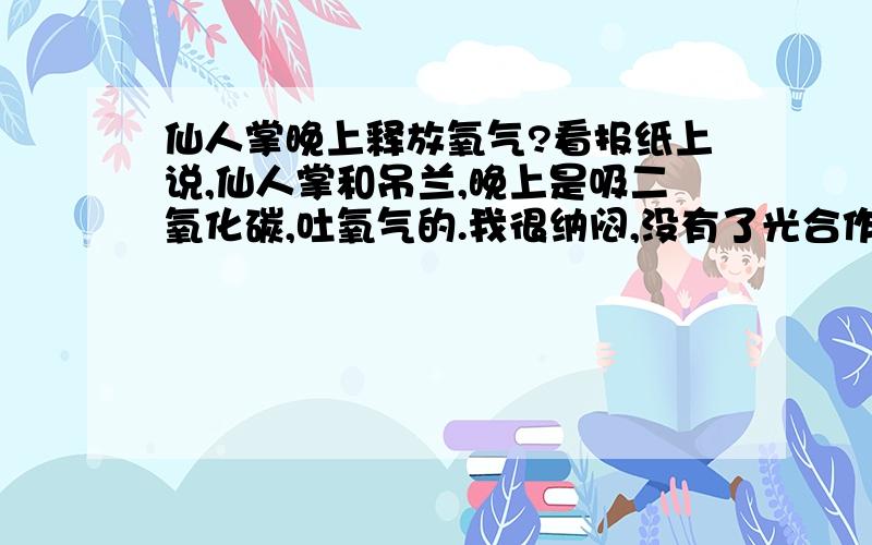 仙人掌晚上释放氧气?看报纸上说,仙人掌和吊兰,晚上是吸二氧化碳,吐氧气的.我很纳闷,没有了光合作用,它凭什么能把二氧化碳