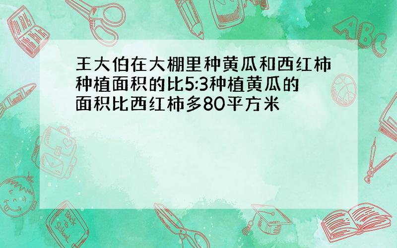 王大伯在大棚里种黄瓜和西红柿种植面积的比5:3种植黄瓜的面积比西红柿多80平方米