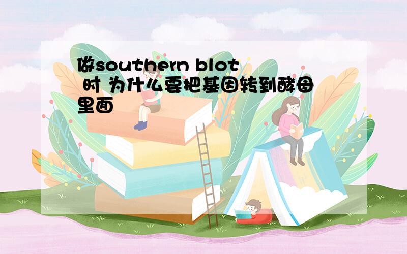 做southern blot 时 为什么要把基因转到酵母里面