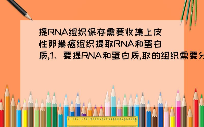 提RNA组织保存需要收集上皮性卵巢癌组织提取RNA和蛋白质,1、要提RNA和蛋白质,取的组织需要分开保存么?2、由于条件